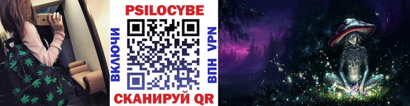 Галлюциногенные грибы Cubensis Зубцов